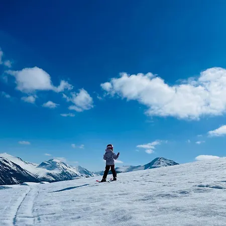 Lejlighed Nikolaisens Nordic Panorama Hideaway *